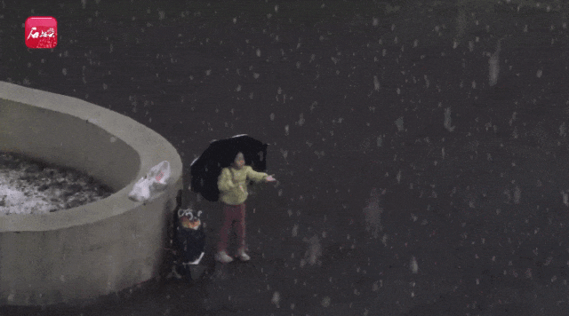 入冬晚降雪少!今年新疆咋了?专家分析→ 入冬晚降雪少!今年新疆咋了?专家分析→