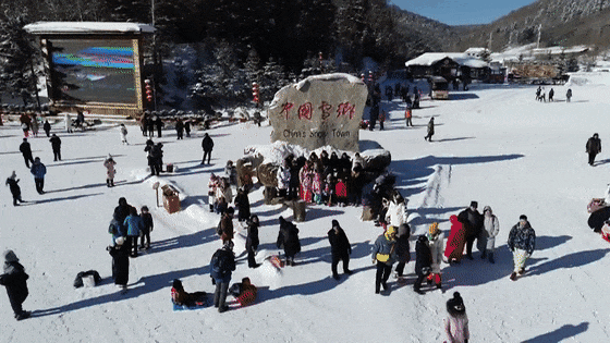 “不是欧洲去不起，而是哈尔滨更有性价比”