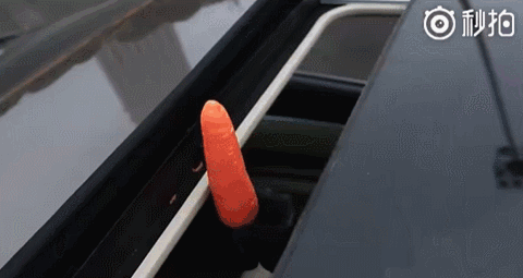 危险！行驶中孩子身体探出天窗, 家长的心该有多大！