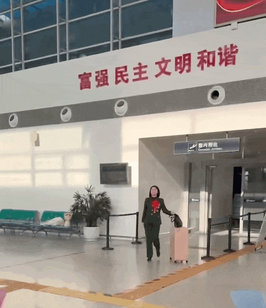 “爸爸妈妈，我回来尽孝了”