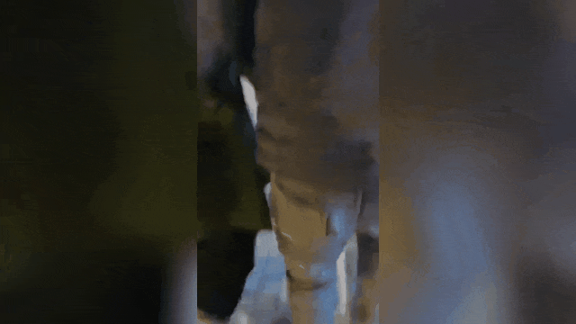 安徽这对父子，瞒不住了！