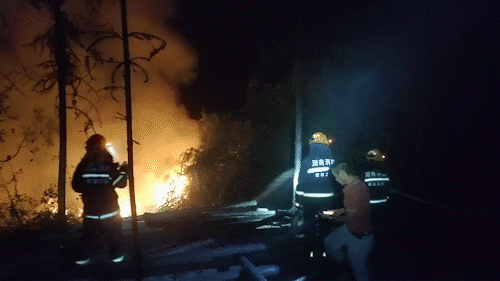 连云港一地发生山火，过火面积约10亩
