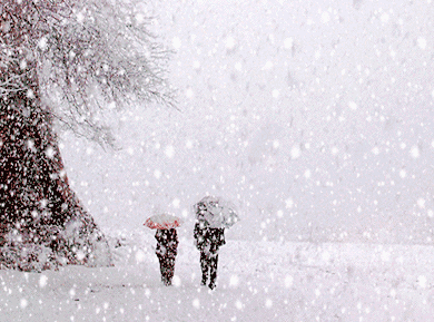 河北省迎来大范围降雪！出行注意安全！未来三天……