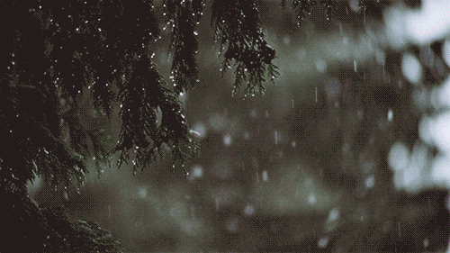 还有暴雪、大暴雪！明晨河南全省都将降到0℃以下