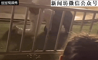 惊险！马戏团黑熊咬住驯兽师！或因观众把这东西掉地上...