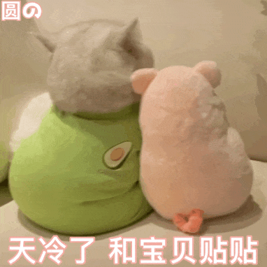 暴涨暴跌！“王炸”寒潮已发货！厦门天气接下来太刺激