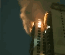 主人这一操作让“佩奇”险变烤乳猪 猪：变着法吃我？