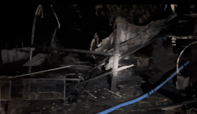 主人这一操作让“佩奇”险变烤乳猪 猪：变着法吃我？