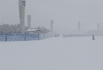 “宛如北极科考”！积雪超半米！大连烟台等地遭遇极端性冷流暴雪！