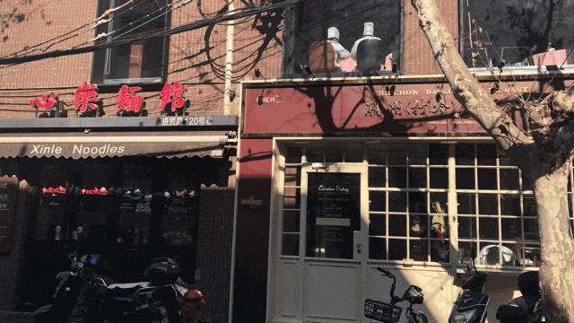 《繁花》带热一座城！进贤路也成热门打卡地