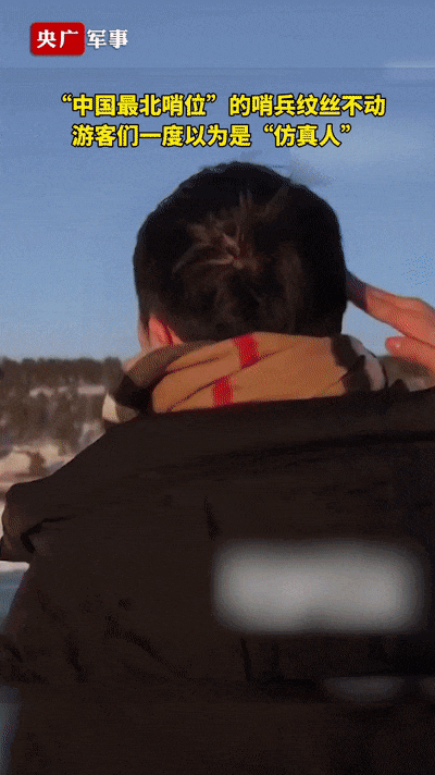 纹丝不动的他们是仿真人？敬礼那一刻让人泪目