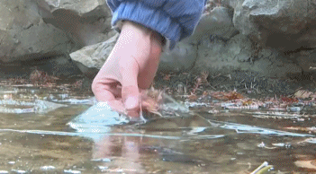 近日多发，狂浇十几壶热水都没用！专业人士提醒：别直接用开水！