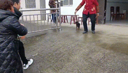 野居深山十余年 警方帮他找到了家 野居深山十余年 警方帮他找到了家