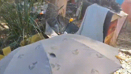 野居深山十余年 警方帮他找到了家 野居深山十余年 警方帮他找到了家