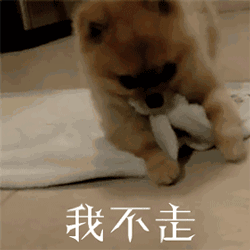 高铁有“遛娃车厢”了！不怕孩子吵，只怕孩子......