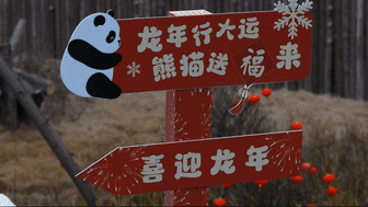 最萌“天团”来拜年!熊猫宝宝“龙”重登场 最萌“天团”来拜年!熊猫宝宝“龙”重登场