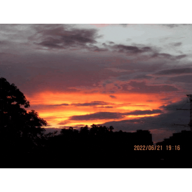 火了！杭州“碧云姐姐”刷屏