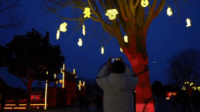春节旅游消费“热辣滚烫” “寻龙之旅”“南北互跨”受热捧 春节旅游消费“热辣滚烫” “寻龙之旅”“南北互跨”受热捧