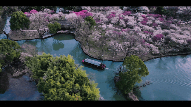 震撼！杭州一地上空同时惊现十几架“飞机”，原来.....