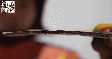 这种危险元宵节也要当心,极具欺骗性! 这种危险元宵节也要当心,极具欺骗性!