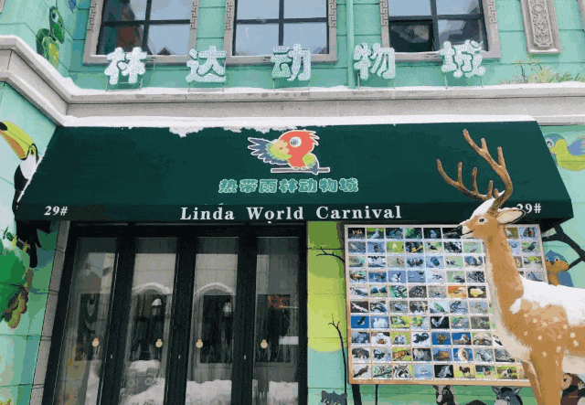 想在哈尔滨体验“全球”度假？安排→