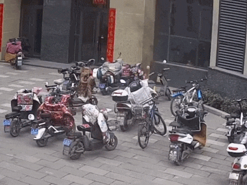 电动车上的挡风被很危险!消防紧急提醒! 电动车上的挡风被很危险!消防紧急提醒!