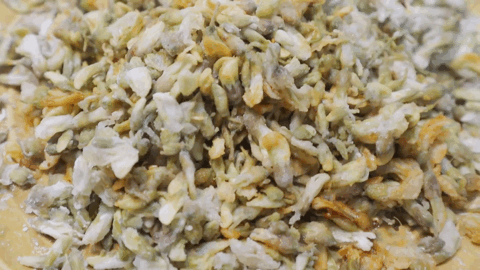 山西人的碗里,藏着多少草草花花叶叶根根? 山西人的碗里,藏着多少草草花花叶叶根根?