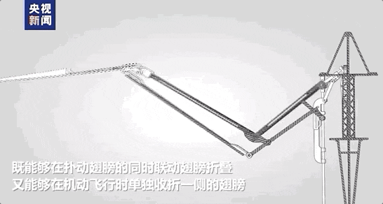 新突破！这只“鸟”不简单