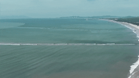 集体一等功×3！这位人大代表今年的小目标是→