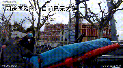 请问，有“速效救心丸”吗？