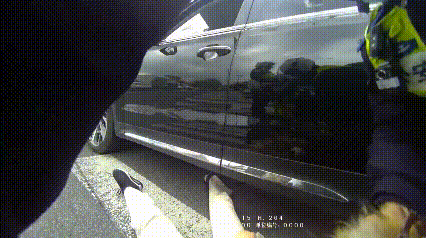 请问，有“速效救心丸”吗？