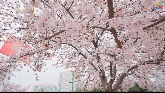 一路飙升，潍坊升温，直冲23℃