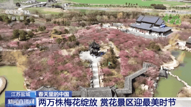 春分时节最佳赏花季到来 你眼中的春是什么花? 春分时节最佳赏花季到来 你眼中的春是什么花?