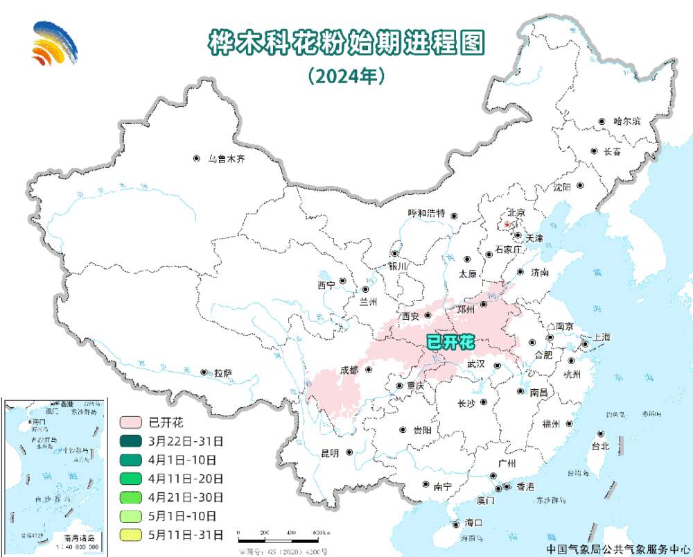 赏花又怕花粉过敏？全国花粉预报指南请查收
