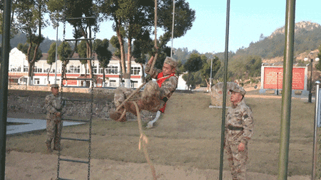 牛!“特1级”的含金量你是懂的 牛!“特1级”的含金量你是懂的