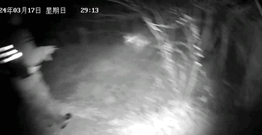 河面突现一圈细微水波纹,这一眼救了一条命 河面突现一圈细微水波纹,这一眼救了一条命