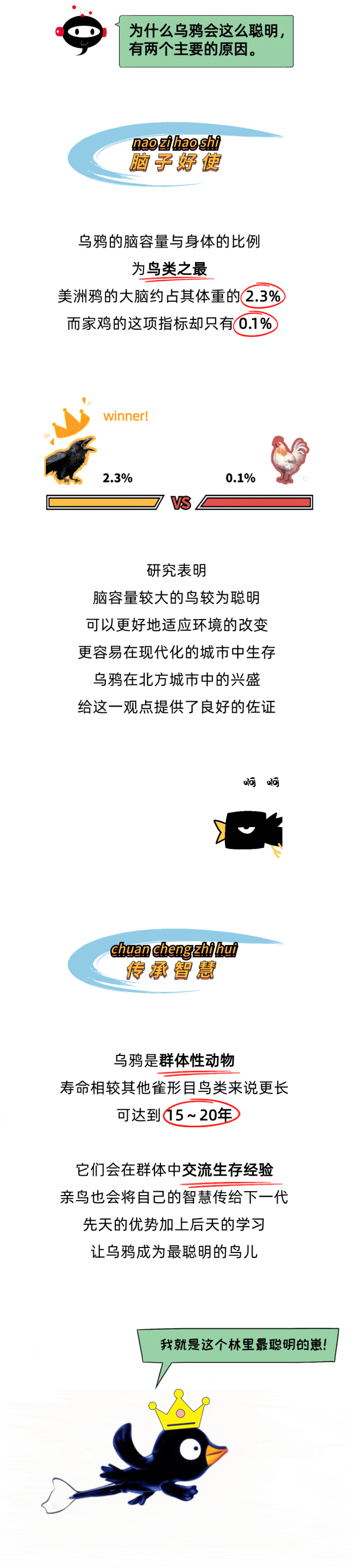 只有人类会使用工具？乌鸦：别太自信...