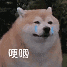 江苏一人中681万大奖，彩票却被洗得稀碎？