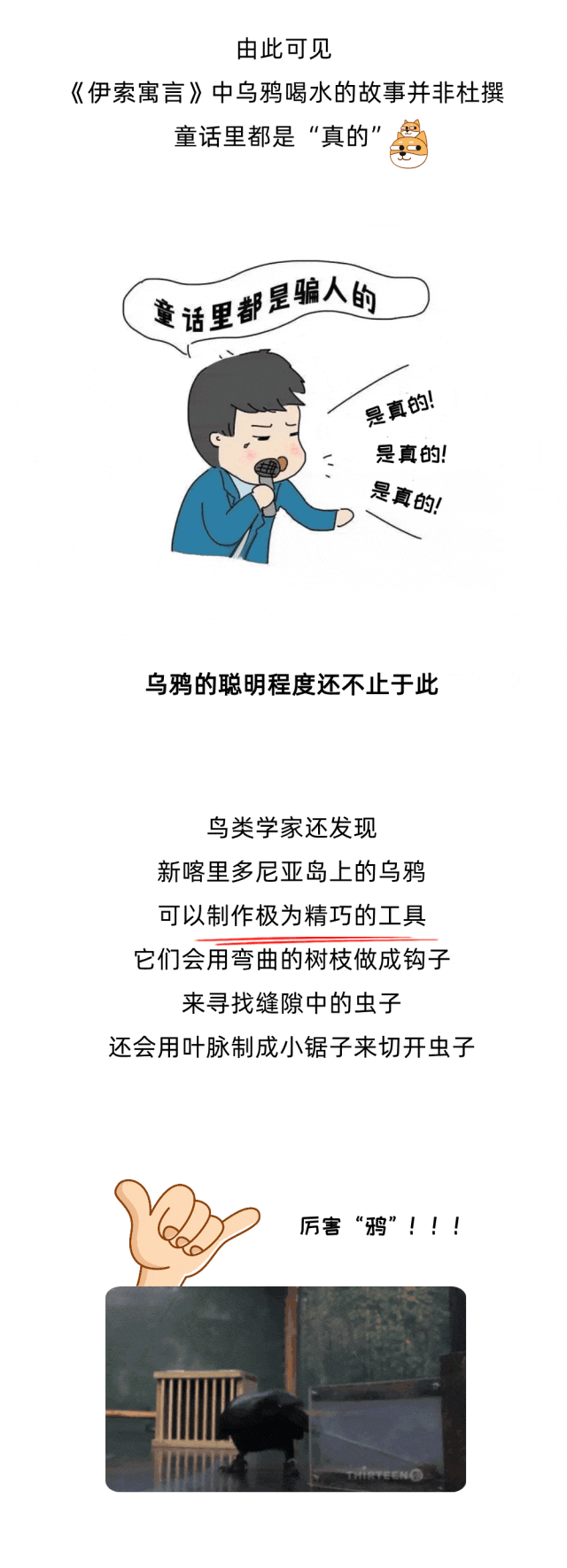 只有人类会使用工具？乌鸦：别太自信...