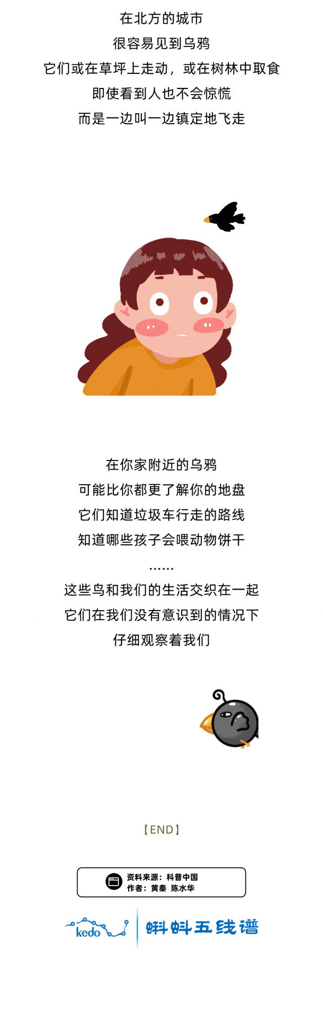 只有人类会使用工具？乌鸦：别太自信...