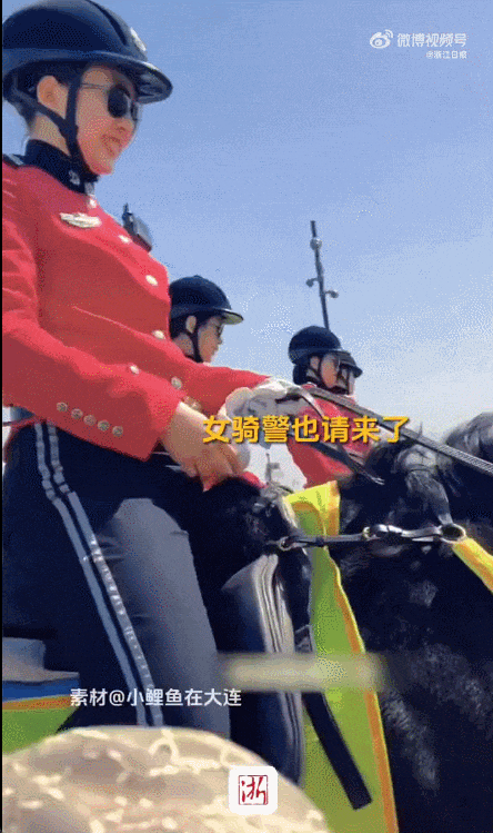 人人人人人……又一地火爆全网！