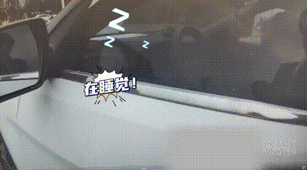 开车半路睡着？这名司机醉驾被查！