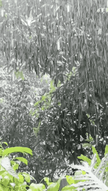冰雹+暴雨+雷电大风！广州启动防暴雨内涝三级应急响应