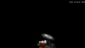 5岁男孩掉落高速桥！安徽合肥公安深夜紧急搜救！