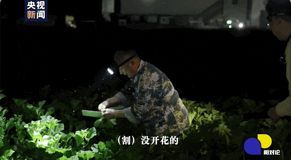“公文包”，大概就是这样一篓一篓背出来的……