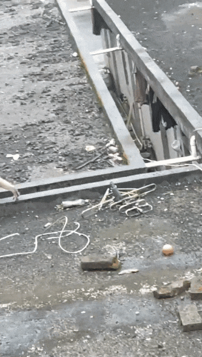 最新海口偷吃的猴子被动保人员抓到啦