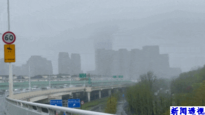 上海车主注意！走卢浦大桥过江时限速60km/h，不少人12分一下没了……交警详解