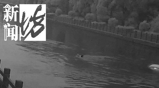 太惊险！沪一小轿车凌晨冲进河里，迅速下沉！危急时刻…