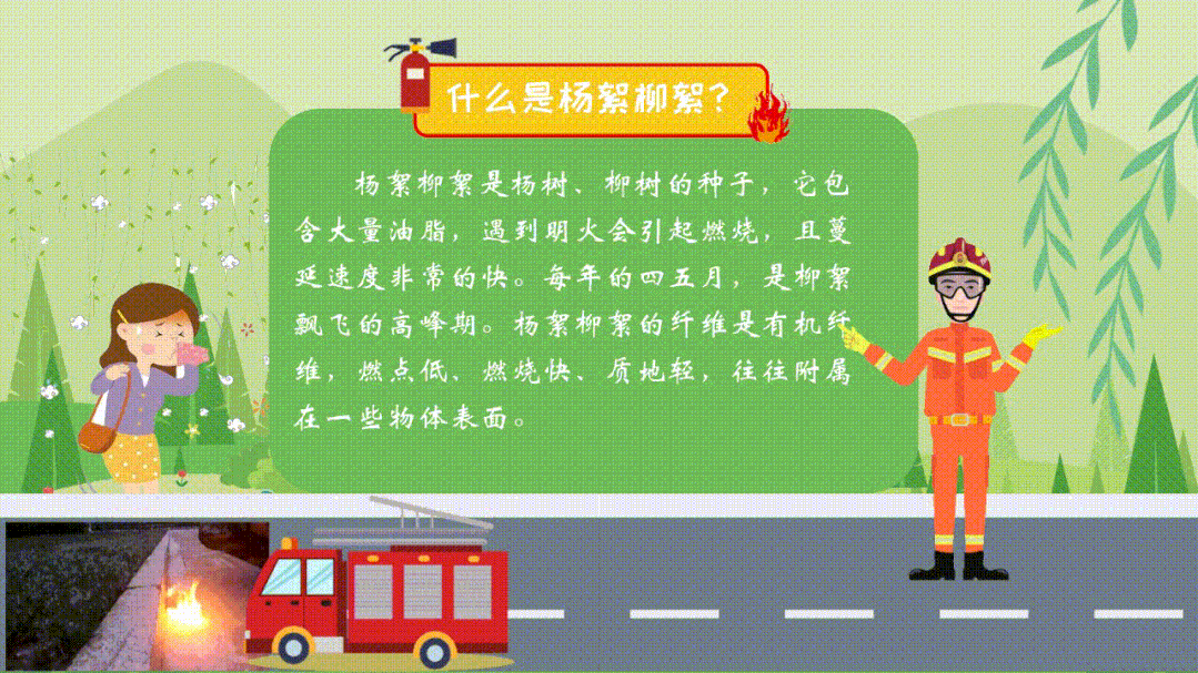 杨柳絮易燃 防火莫大意