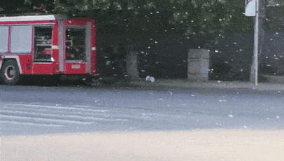 杨柳絮易燃 防火莫大意